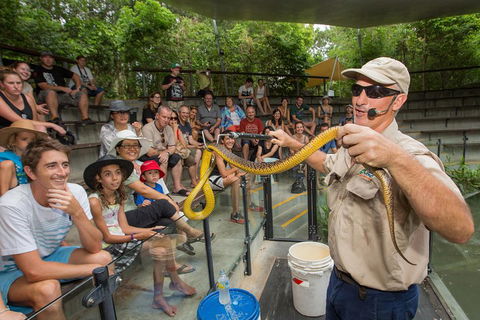 Hartley's Crocodile Adventures Breakfast With The Koalas - Tweed Heads Accommodation 3