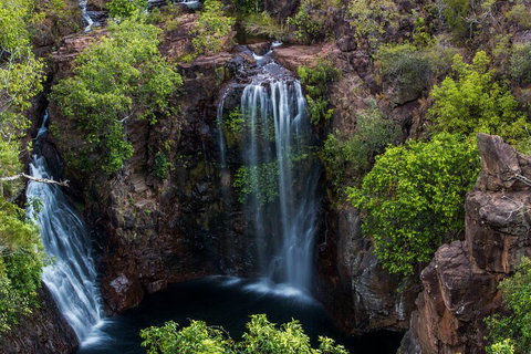 Litchfield National Park - Top End Day Tour From Darwin - Tweed Heads Accommodation 2