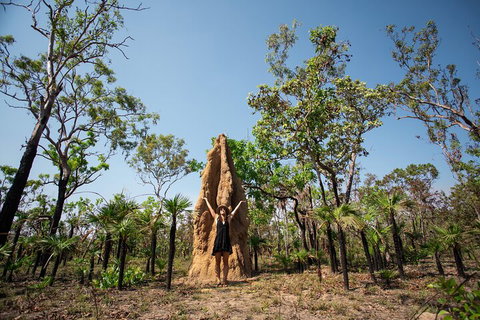 Litchfield National Park - Top End Day Tour From Darwin - Tweed Heads Accommodation 5