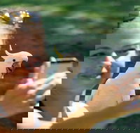 2-Day Melbourne to Adelaide Tour Great Ocean Road and Grampians One Way Trip - Tweed Heads Accommodation