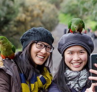 Small-Group Great Ocean Road and 12 Apostles Full-Day Tour from Melbourne - Tweed Heads Accommodation