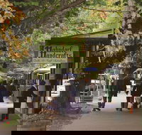 Adelaide Highlights Hahndorf  McLaren Vale Wine Tasting and Sightseeing Tour - Tweed Heads Accommodation