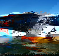 Express Jet Boat Ride  Aquaduck - Tweed Heads Accommodation