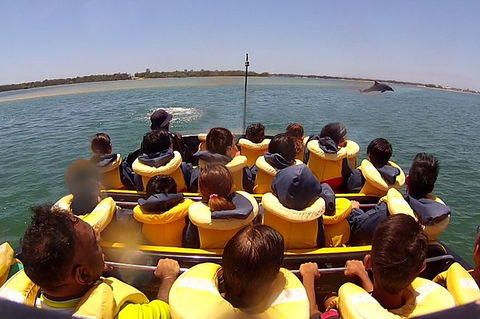 Jet Boat Express Ride - 30mins - Tweed Heads Accommodation 5