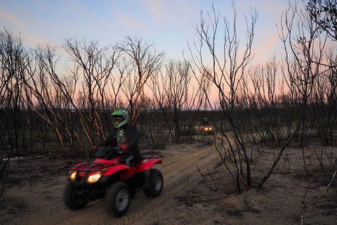 Kangaroo Island Quad Bike (ATV) Tours - Tweed Heads Accommodation 1