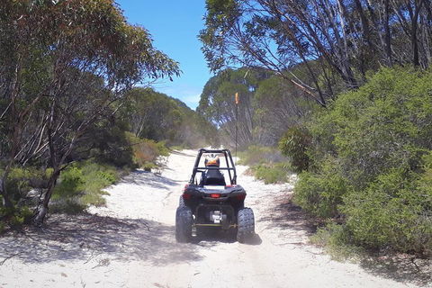 Kangaroo Island Quad Bike (ATV) Tours - Tweed Heads Accommodation 4