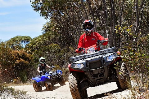 Kangaroo Island Quad Bike (ATV) Tours - Tweed Heads Accommodation 5
