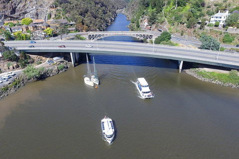 2.50 Hour Afternoon Discovery Cruise Including Cataract Gorge Departing At 3 Pm - Tweed Heads Accommodation 1