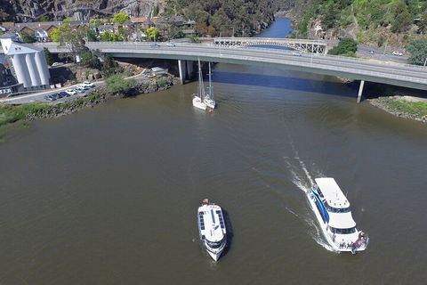 2.50 Hour Afternoon Discovery Cruise Including Cataract Gorge Departing At 3 Pm - Tweed Heads Accommodation 3