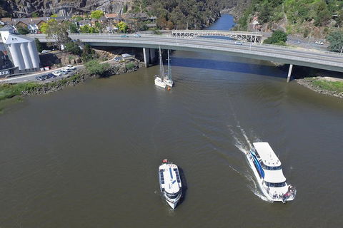 2.50 Hour Afternoon Discovery Cruise Including Cataract Gorge Departing At 3 Pm - Tweed Heads Accommodation 5