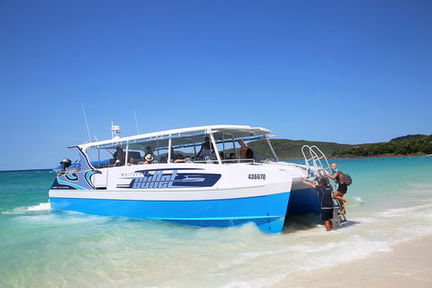 Whitsunday Bullet Day Trip - Whitehaven Beach And Snorkelling - Tweed Heads Accommodation 3