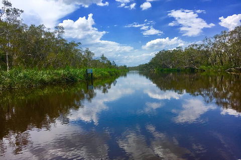 Noosa Everglades Serenity Cruise & Highlights Tour Inc. Lunch & Cruise - Tweed Heads Accommodation 0