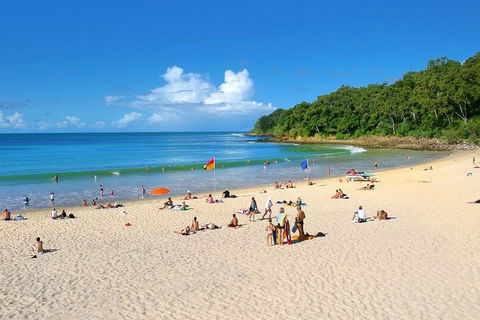 Noosa Everglades Serenity Cruise & Highlights Tour Inc. Lunch & Cruise - Tweed Heads Accommodation 4