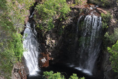 Litchfield And Jumping Crocodiles Full Day Trip From Darwin - Tweed Heads Accommodation 2