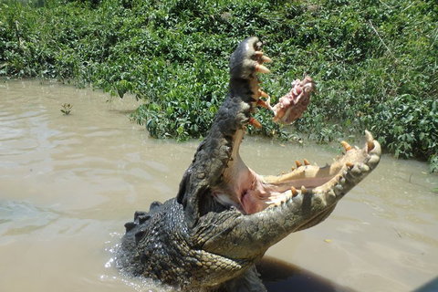 Litchfield And Jumping Crocodiles Full Day Trip From Darwin - Tweed Heads Accommodation 3