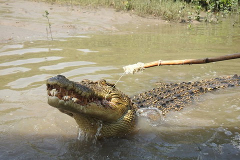 Litchfield And Jumping Crocodiles Full Day Trip From Darwin - Tweed Heads Accommodation 4