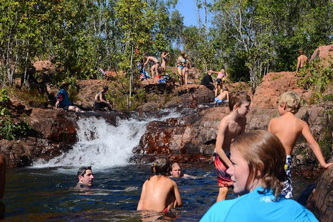 Litchfield And Jumping Crocodiles Full Day Trip From Darwin - Tweed Heads Accommodation 5