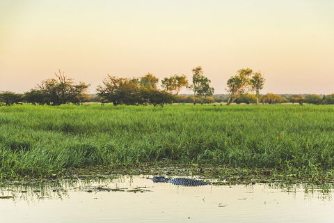 Yellow Water Cruise - Kakadu - Tweed Heads Accommodation 3