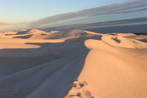 Pinnacles Desert Private Tour - Tweed Heads Accommodation 1
