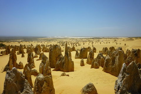 Pinnacles Desert Private Tour - Tweed Heads Accommodation 2