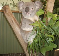 Blue Mountains Private Full-Day Tour from Sydney with Cruise - Tweed Heads Accommodation