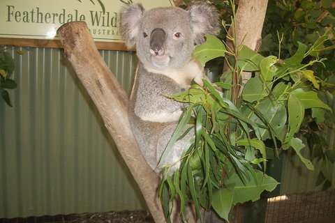 Blue Mountains Private Full-Day Tour From Sydney With Cruise - Tweed Heads Accommodation 0