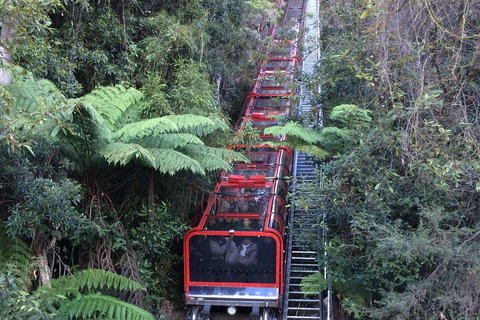 Blue Mountains Private Full-Day Tour From Sydney With Cruise - Tweed Heads Accommodation 5