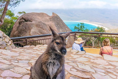 Wineglass Bay & Freycinet NP Full Day Tour From Hobart Via Richmond Village - Tweed Heads Accommodation 0