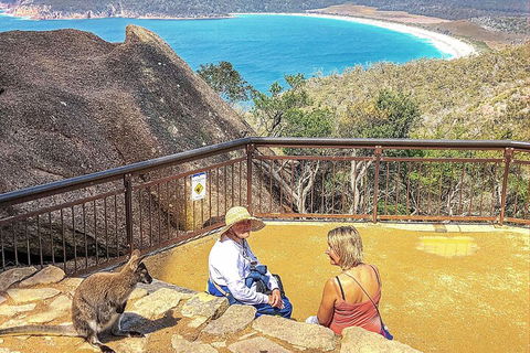 Wineglass Bay & Freycinet NP Full Day Tour From Hobart Via Richmond Village - Tweed Heads Accommodation 1