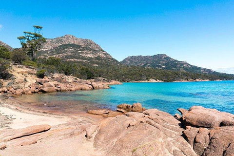 Wineglass Bay & Freycinet NP Full Day Tour From Hobart Via Richmond Village - Tweed Heads Accommodation 5