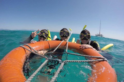 Full-Day Great Barrier Reef Sailing Trip - Tweed Heads Accommodation 0
