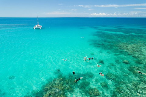 Full-Day Great Barrier Reef Sailing Trip - Tweed Heads Accommodation 2