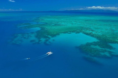 Full-Day Great Barrier Reef Sailing Trip - Tweed Heads Accommodation 3