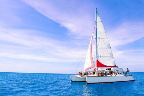 Full-Day Great Barrier Reef Sailing Trip - Tweed Heads Accommodation 4