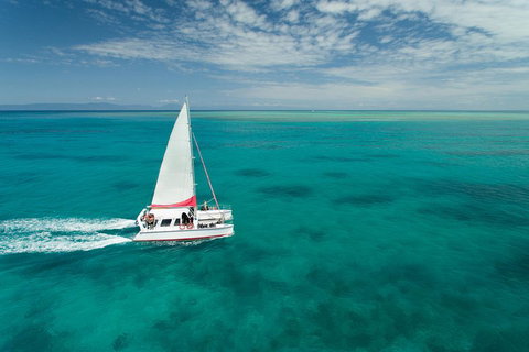 Full-Day Great Barrier Reef Sailing Trip - Tweed Heads Accommodation 5
