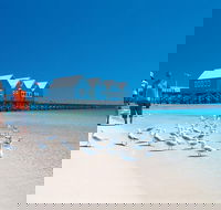 Margaret River and Geographe Bay Region Day Trip from Perth - Tweed Heads Accommodation