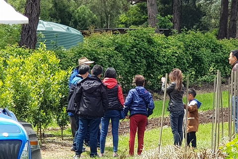 Dandenong Ranges And Rayners Orchard Tour From Melbourne - Tweed Heads Accommodation 4