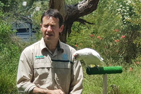 Healesville Sanctuary And Rayners Orchard Tour From Melbourne - Tweed Heads Accommodation 0