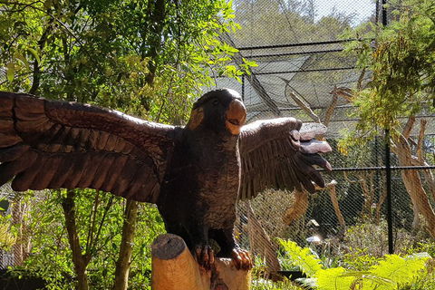 Healesville Sanctuary And Rayners Orchard Tour From Melbourne - Tweed Heads Accommodation 2