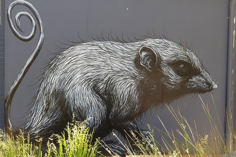 Healesville Sanctuary And Rayners Orchard Tour From Melbourne - Tweed Heads Accommodation 5