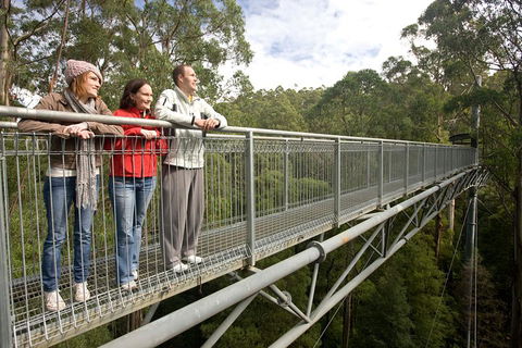 Adventure Sunset Three Day Great Ocean Road Tour - Tweed Heads Accommodation 0