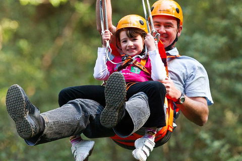 Adventure Sunset Three Day Great Ocean Road Tour - Tweed Heads Accommodation 4