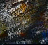Ngilgi Cave Semi-guided Tour - Tweed Heads Accommodation