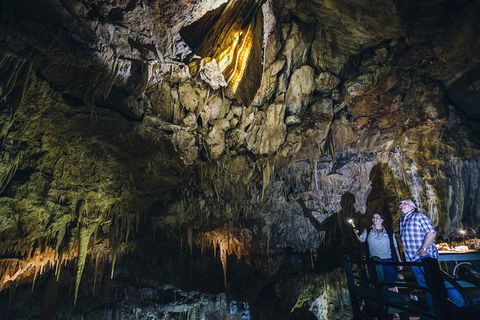 Ngilgi Cave Semi-guided Tour - Tweed Heads Accommodation 0