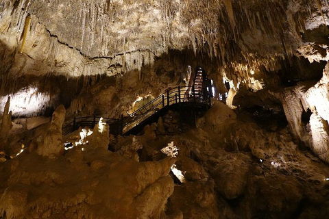 Ngilgi Cave Semi-guided Tour - Tweed Heads Accommodation 2