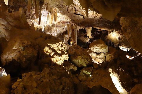 Ngilgi Cave Semi-guided Tour - Tweed Heads Accommodation 3