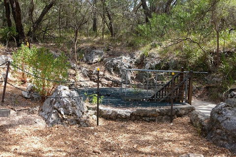 Ngilgi Cave Semi-guided Tour - Tweed Heads Accommodation 4