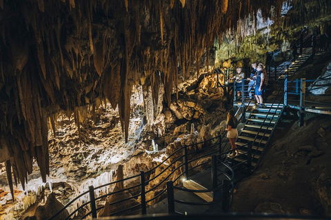 Ngilgi Cave Semi-guided Tour - Tweed Heads Accommodation 5