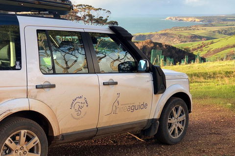 Kangaroo Island 4WD Tour - Best Of KI In 2 Days - Tweed Heads Accommodation 4