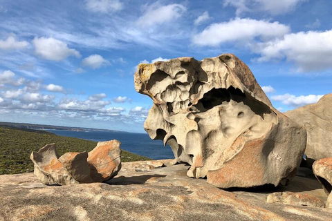 Kangaroo Island 4WD Tour - Best Of KI In 2 Days - Tweed Heads Accommodation 5